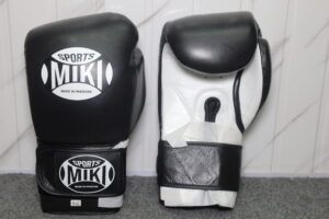 Boxing Gloves Module 2