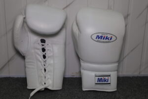 boxing gloves module 3