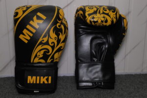 boxing Gloves Module 4