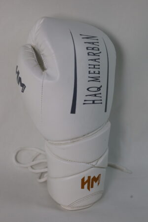 Boxing MHS-1005